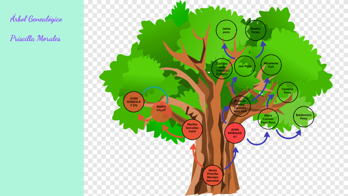 Arbol Genealógico Priscilla Morales by Priscilla Morales on Prezi