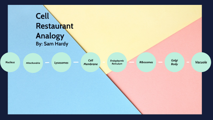 Cell Restaurant Analogy Project By Sam Hardy On Prezi 1252