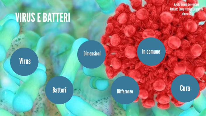 VIRUS E BATTERI by agata Bergantini on Prezi