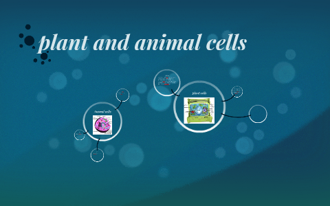 plant and animal cells by zanadia alford on Prezi