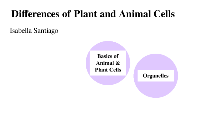 Plant and Animal Cells by Isabella Santiago on Prezi