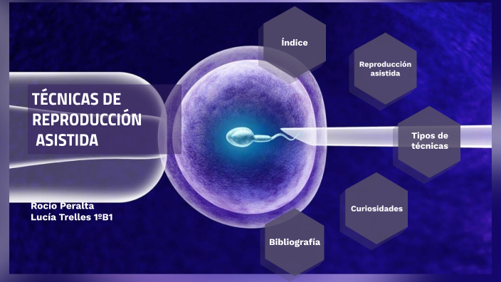 Tecnicas De Reproduccion Asistida By Lucia Trelles On Prezi 6144