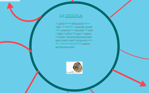 LA CELLULA: by PrimaE Defilis on Prezi