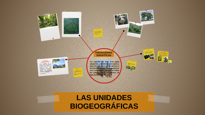 LAS UNIDADES BIOGEOGRÁFICAS by Andres Alvarado on Prezi