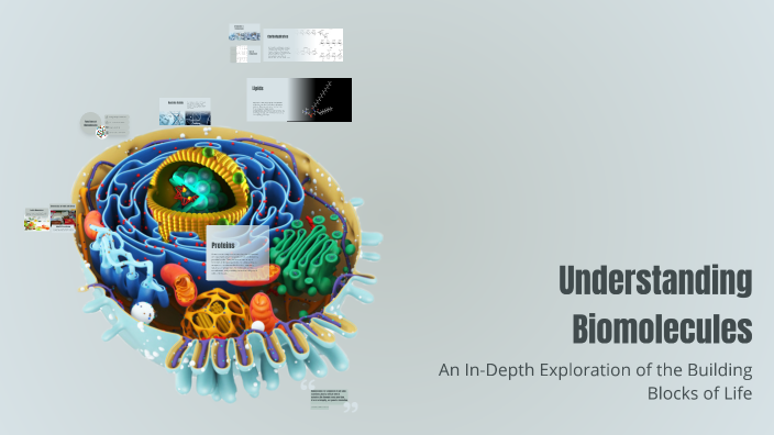 Understanding Biomolecules by Rania Reafaat on Prezi