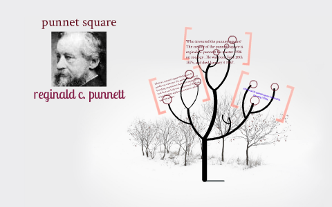 punnett square by richard blackwell on Prezi