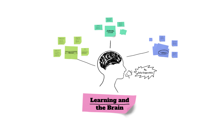 Learning and the Brain by Julia Cooperstein on Prezi