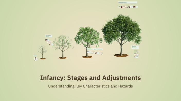Infancy: Stages and Adjustments by Mathew on Prezi