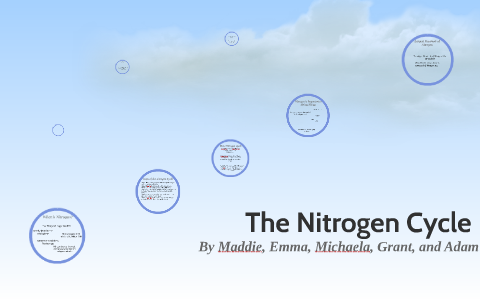 The Nitrogen Cycle by Maddie Grebner on Prezi
