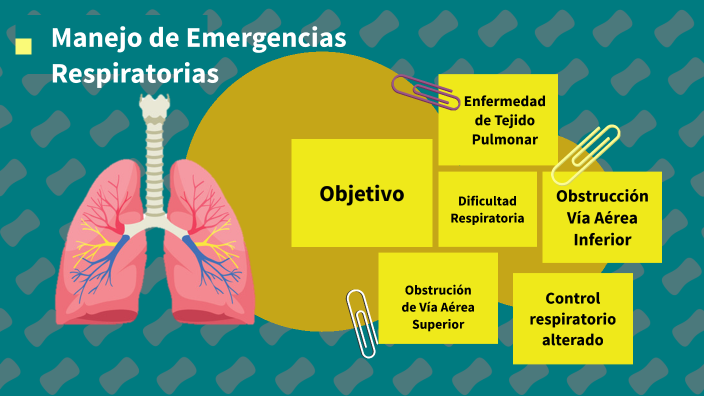 Manejo de emergencias respiratorias by Ant Leon on Prezi