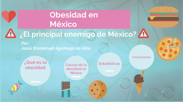 Ensayo De La Obesidad En Mexico