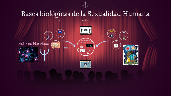 Bases Biológicas De La Sexualidad Humana By Ceely Olivares On Prezi 5937