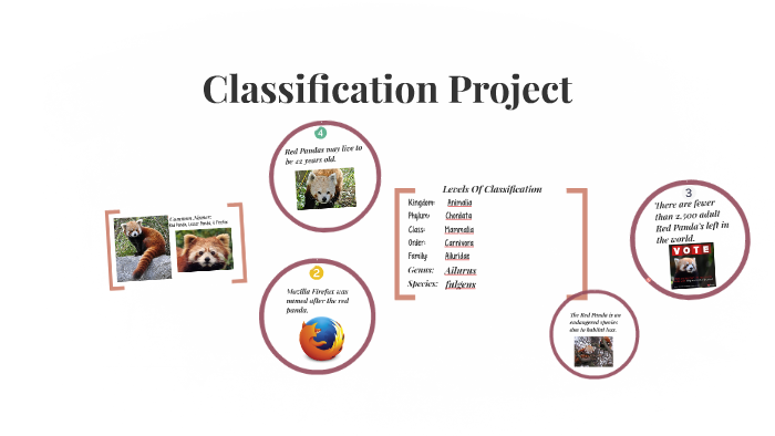 Classification Project by Jada Reed on Prezi