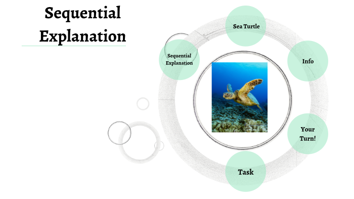 Sequential Explanation - Sea Turtle by Shannon Mawhinney on Prezi