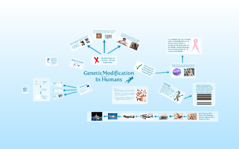 Genetic Modification In Humans by Ty Hemphill on Prezi