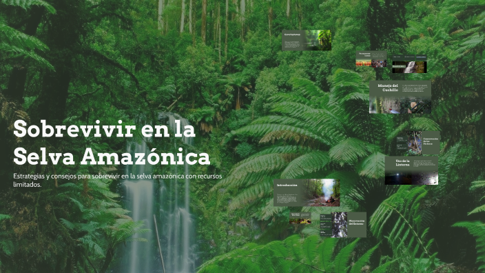 Sobrevivir en la Selva Amazónica by paul vrn on Prezi