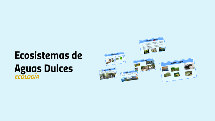 Ecosistemas de by Daniela Moreno on Prezi