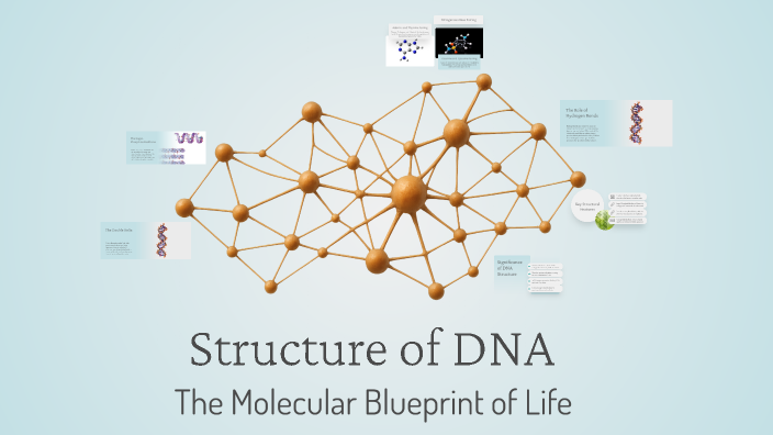 Structure of DNA by Alili Mohamed on Prezi