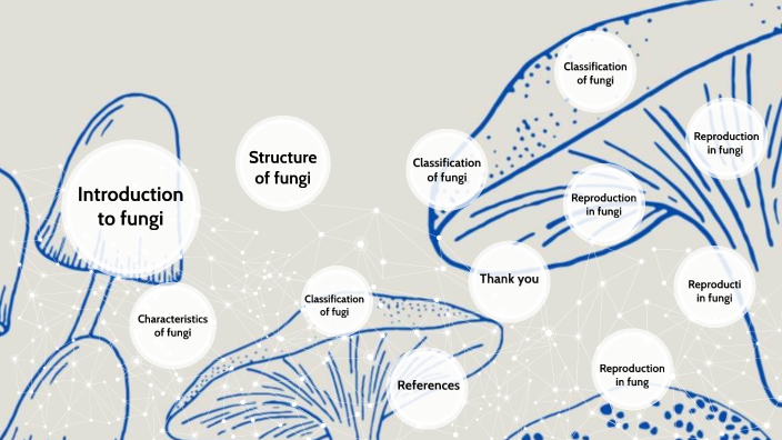 Introduction To Fungi By Jana Saati On Prezi