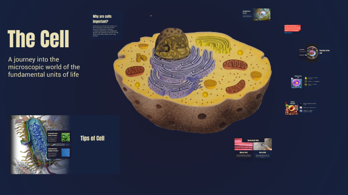La Cellula by Andrea Gelmi on Prezi