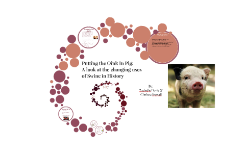 Everything But The Oink: The Evolution Of The Pig By Chelsea Kowall On 