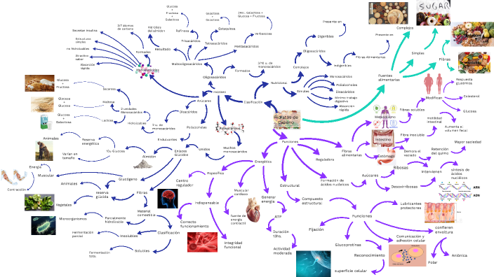 Mapa mental by Romina Ailén Arias on Prezi