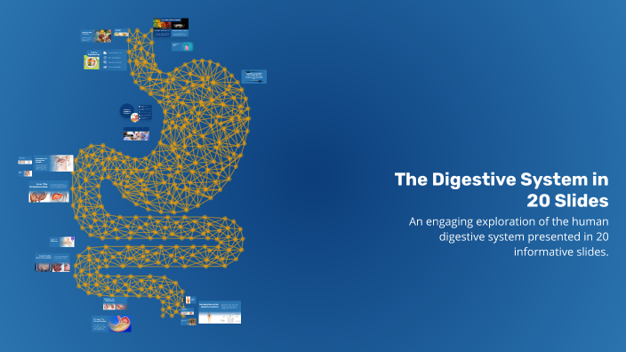 The Digestive System in 20 Slides by Albert Tinca on Prezi