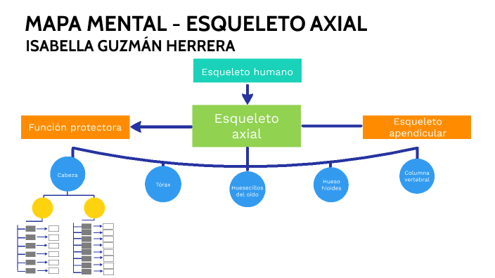 MAPA MENTAL ESQUELETO AXIAL By Isa Gh On Prezi mapa-mental-esqueleto-axial-by-isa-gh-on-prezi