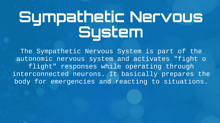 Sympathetic and Parasympathetic Nervous Systems by Kyle Barbera on Prezi