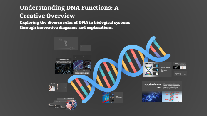 Understanding DNA Functions: A Creative Overview by Salai hanish on Prezi