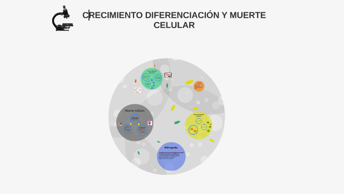 Crecimiento DiferenciaciÓn Y Muerte Celular By Carmen Gonzalez On Prezi 1748