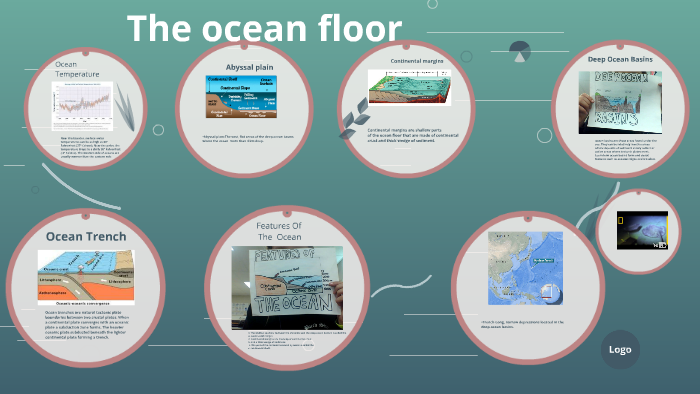The ocean floor by Iman Shofan on Prezi