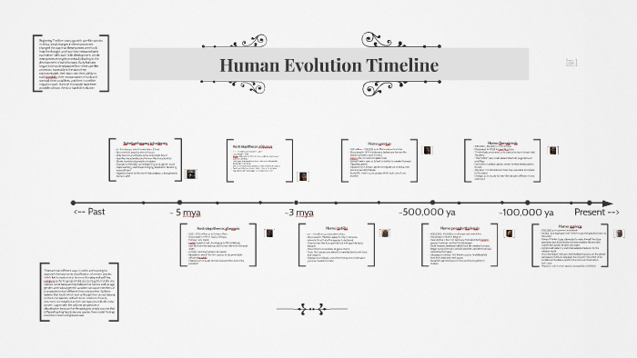 human evolutionary timeline
