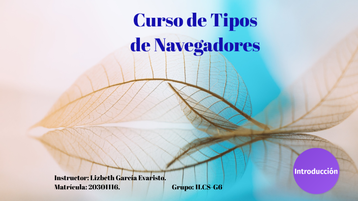 Tipos de Navegadores by LIZBETH GARCIA EVARISTO on Prezi