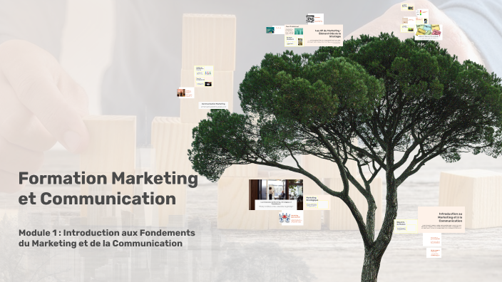 Formation Marketing et Communication - Module 1 by aime mlk on Prezi