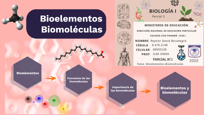 Bioelementos y Biomoléculas by Reynieer Bocanegra on Prezi