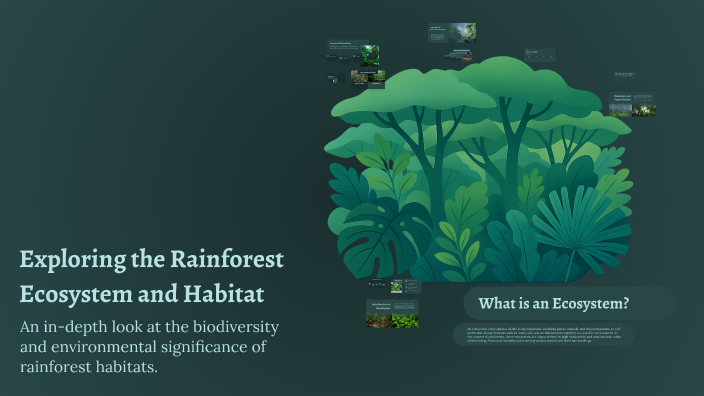 Exploring the Rainforest Ecosystem and Habitat by Sophia Pant on Prezi