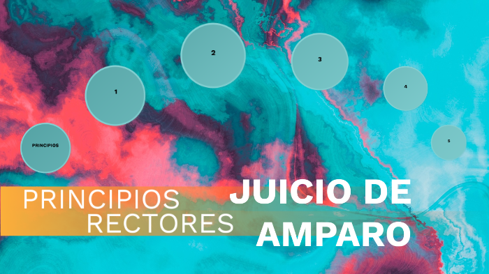 PRINCIPIOS RECTORES DEL JUICIO DE AMPARO by Diana Carolina Ruíz ...