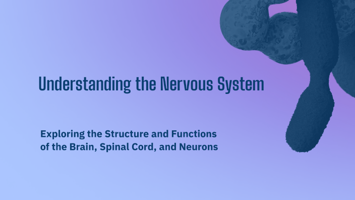 Understanding the Nervous System by Aryana Martinez on Prezi