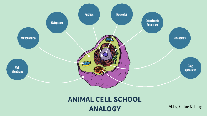 Animal Cell Analogy by Thuy Nguyen on Prezi