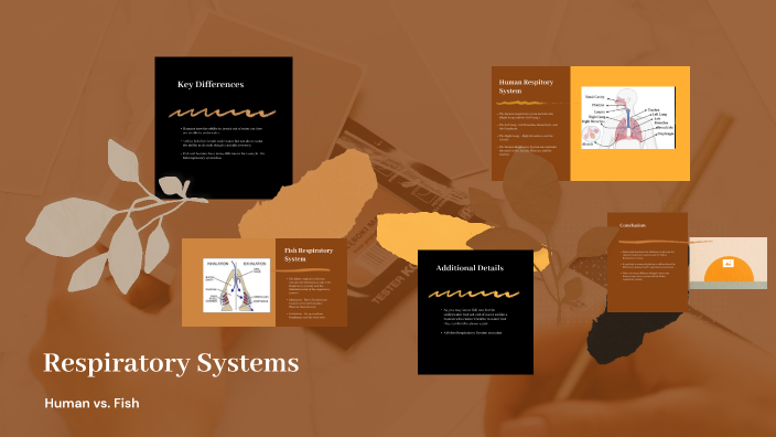 Respiratory Systems by Sonya Johnson on Prezi