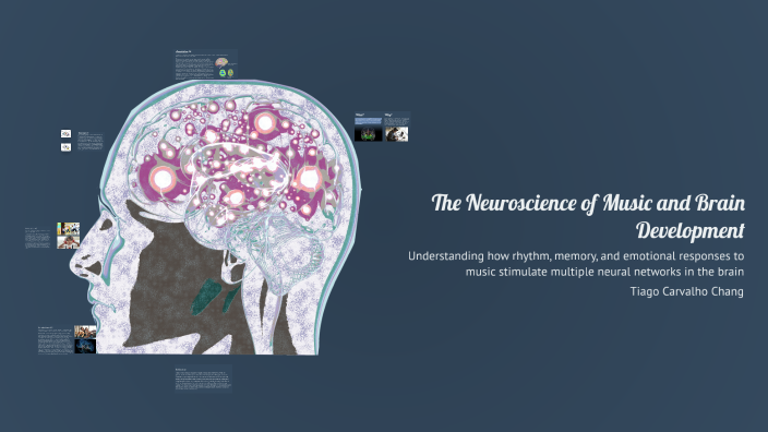 The Impact of Music on Brain Development by Tiago Chang on Prezi