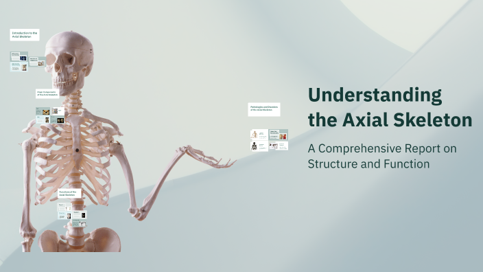 Understanding the Axial Skeleton by Ziyad Kharmsh on Prezi