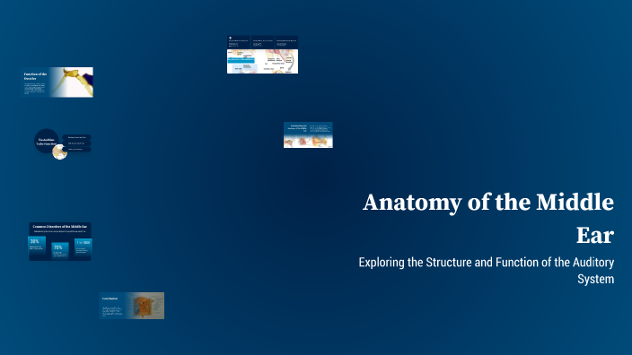 Anatomy of the Middle Ear by Samah Asmar on Prezi