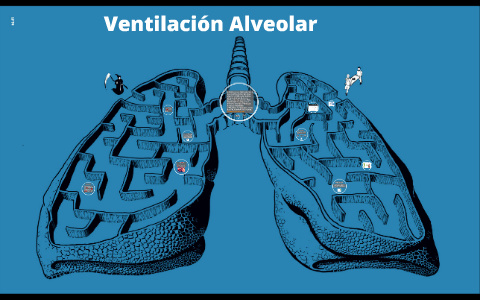 VENTILACIÓN ALVEOLAR By ALICIA GARCIA MARQUEZ On Prezi