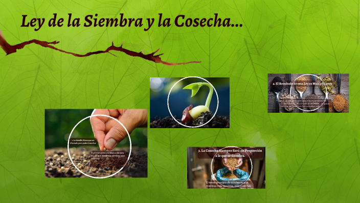 Ley de la Siembra y la Cosecha... by gustavo soto on Prezi