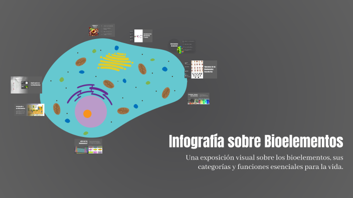 Infografía sobre Bioelementos by Bravo Favian on Prezi