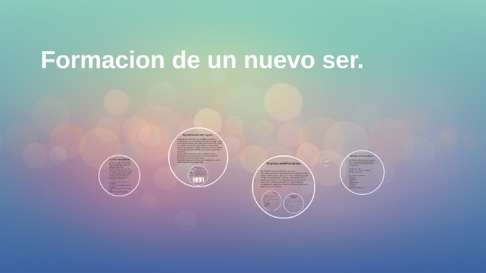 Formacion de un nuevo ser. by camila betances