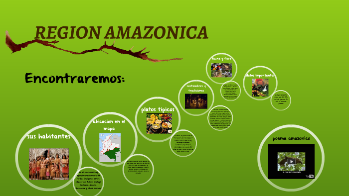 REGION AMAZONICA by Brandon Santuario on Prezi
