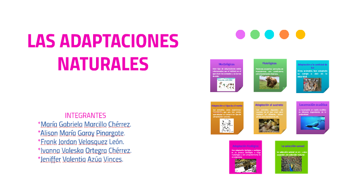 LAS ADAPTACIONES NATURALES by Gabriela Marcillo on Prezi